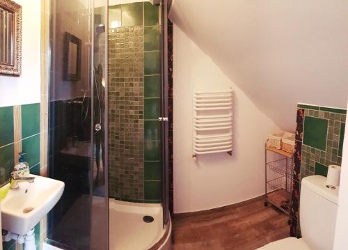 a bathroom with a shower and a sink at Dom Gościnny Hansel & Gretel in Kallinowen