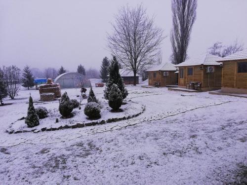 a yard covered in snow with christmas trees in it at Brvnare Rodjak sa sela in Mionica