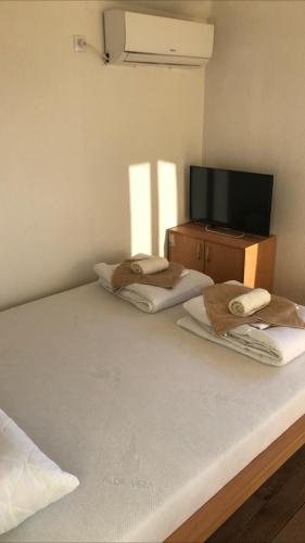 a bedroom with two beds and a tv on a table at Brvnare Rodjak sa sela in Mionica