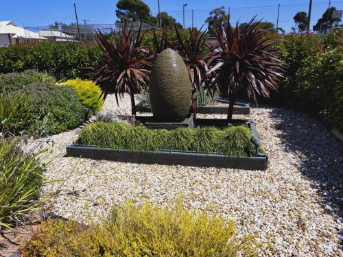 un jardin avec un grand vase et quelques plantes dans l'établissement Oval Motel - Murray Bridge, à Murray Bridge