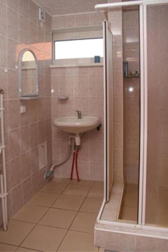 a bathroom with a sink and a shower at Viesu nams un kempings Papes Čakstes in Pape