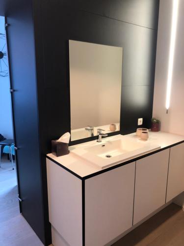 uma casa de banho com um lavatório branco e um espelho. em Molenstraat em Dendermonde