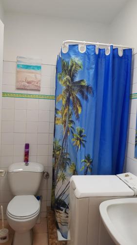 コスタ・デル・シレンチオにあるEureka Apartment with Free WiFiのバスルーム(トイレ、青いシャワーカーテン付)