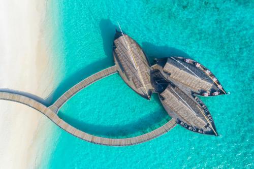 a butterfly is sitting on top of the water at Milaidhoo Maldives in Baa Atoll
