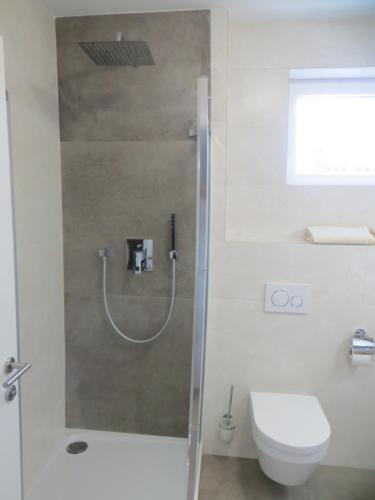 een badkamer met een douche, een toilet en een wastafel bij City Apartment Amadeus in Salzburg