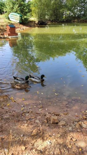 Domaine De Potofayol – Photos 5