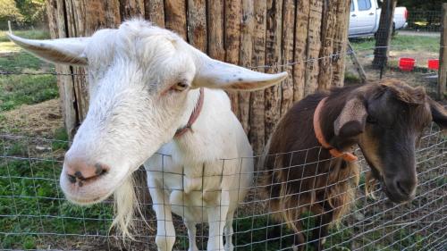 Domaine De Potofayol – Photos 4