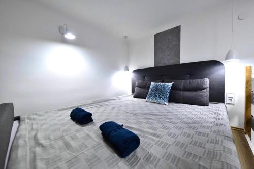1 dormitorio con 1 cama grande y 2 almohadas azules en Cosy flat in Király str, Queen en Budapest