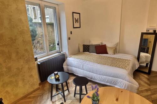 een kleine kamer met twee bedden en een raam bij Le Mangin - Studio avec terrasse in Metz