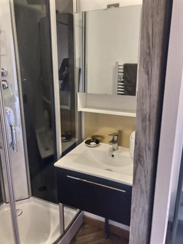 une salle de bain avec un lavabo et une douche dans l'établissement Le Mangin - Studio avec terrasse, à Metz