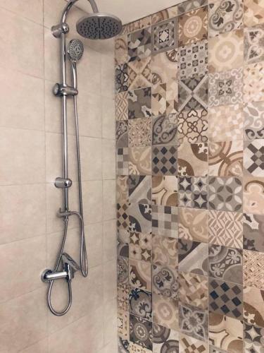 a shower with a shower head in a bathroom at Popasul din Pietrar in Preluca Veche