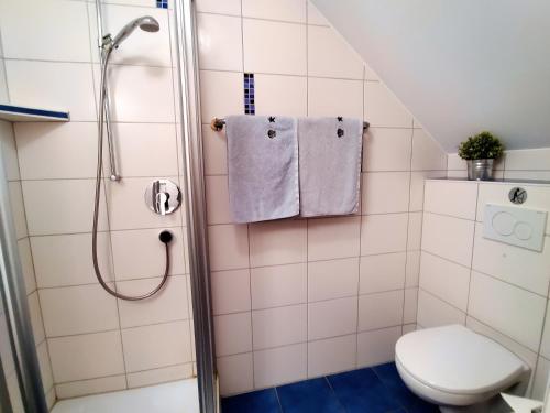 a bathroom with a shower and a toilet at BodenSEE Haus am Geissbock in Meckenbeuren