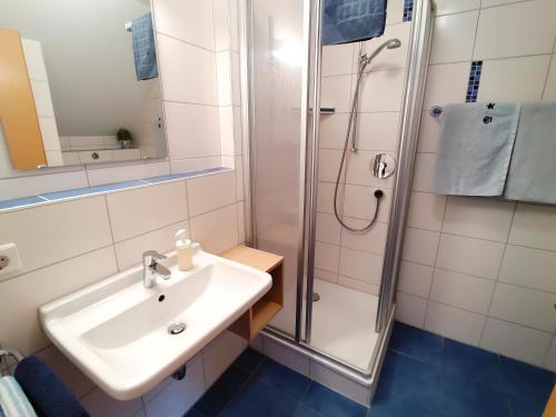 a bathroom with a sink and a shower at BodenSEE Haus am Geissbock in Meckenbeuren