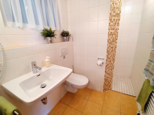 a bathroom with a sink and a toilet and a shower at BodenSEE Haus am Geissbock in Meckenbeuren
