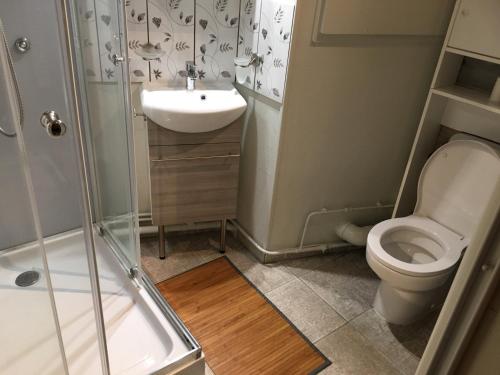 a small bathroom with a toilet and a sink at Charmant studio in La Bresse