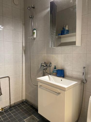 un baño con lavabo y ducha en Myllykoski apart, en Ummeljoki