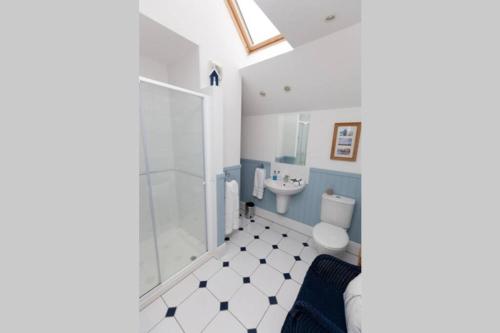 a bathroom with a shower and a toilet and a sink at RED LION LOFT BLIDWORTH in Blidworth