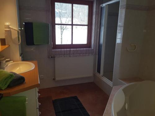 a bathroom with a sink and a toilet and a window at Ferienhaus Kahr Appartment Ennstal in Radstadt