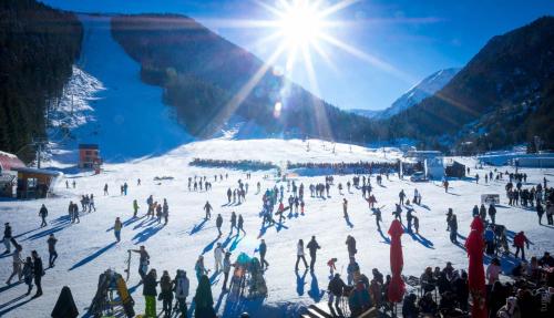 Fotografie z fotogalerie ubytování Skiing, Walking, Enjoying in mountains v destinaci Bansko