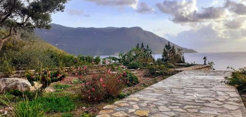 a pathway with flowers on a hill next to the water at Villa LeSunLuka Lefkada in Vasiliki