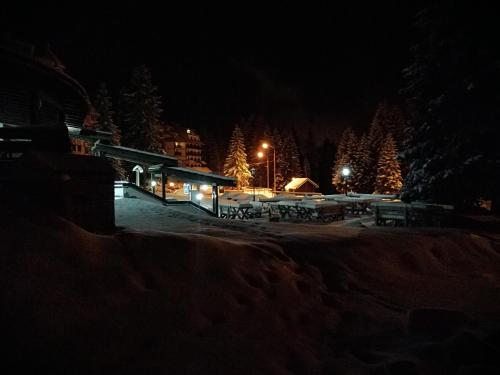 a snow covered park at night with christmas trees at Apartment Lavina Kopaonik in Kopaonik