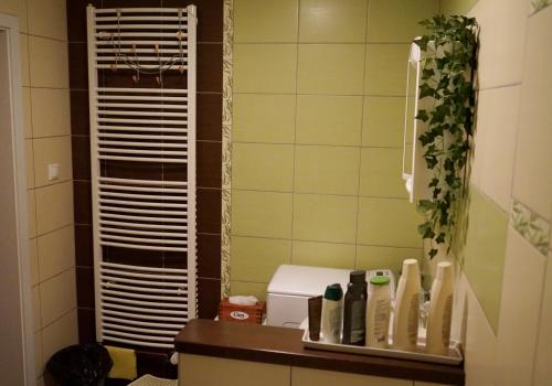 Apartment Borovíにあるバスルーム