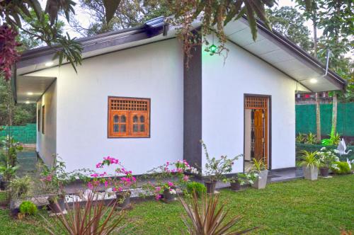Κήπος έξω από το Sunny Homestay