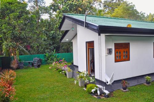 Κήπος έξω από το Sunny Homestay