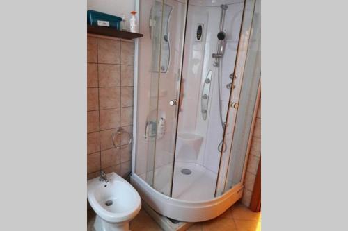 ein Bad mit einer Dusche und einem WC in der Unterkunft Appartamento sul lago d'Iseo in Tavernola Bergamasca