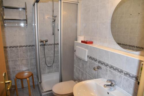 a bathroom with a shower and a sink and a toilet at Hotel zum Gesundbrunnen in Bad Zwischenahn