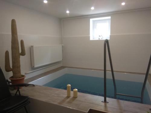 a room with a swimming pool with a cactus at Ferienhaus Bergblick - mit Sauna und Dampfbad und Yacuzzi in Sehma