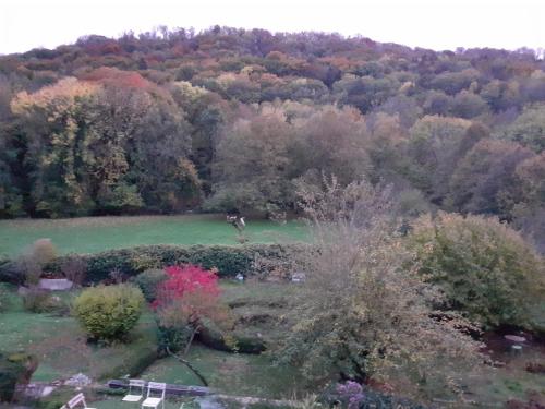 a horse in a field with trees in the background at la grange aux oiseaux in Arnaville