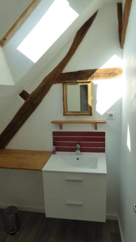 ein Bad mit einem Waschbecken und einem Spiegel in der Unterkunft Le Gros Tilleul in Chepoix