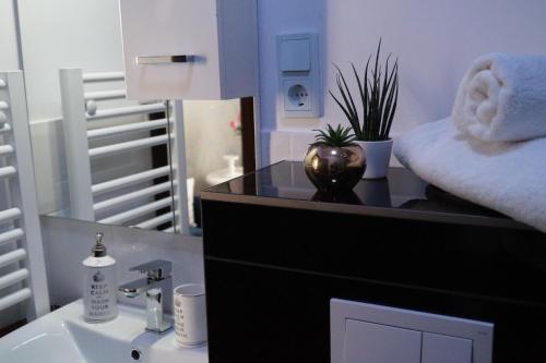 a bathroom with a sink and a counter with a mirror at Der Gutschmecker Bad Bramstedt in Bad Bramstedt