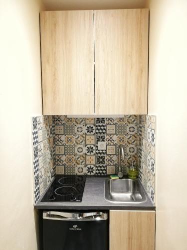 Il comprend une petite cuisine équipée d'une cuisinière et d'un évier. dans l'établissement SLEEP IN COLMAR - Parking - Centre, à Colmar