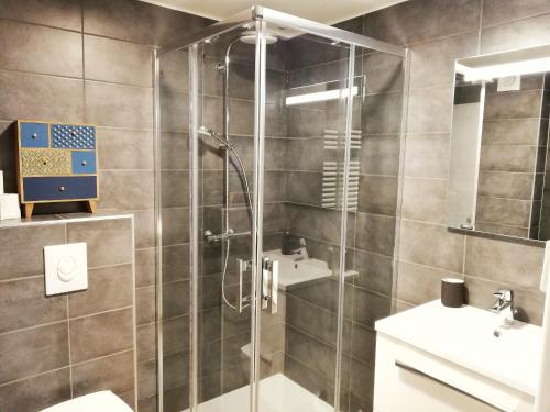 une salle de bain avec une douche, des toilettes et un lavabo dans l'établissement LUCKY PLACE - PARKING - CENTRE - BALCON, à Colmar