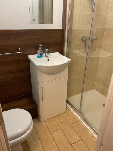 a bathroom with a toilet and a sink and a shower at Swandown Hotel in Swindon