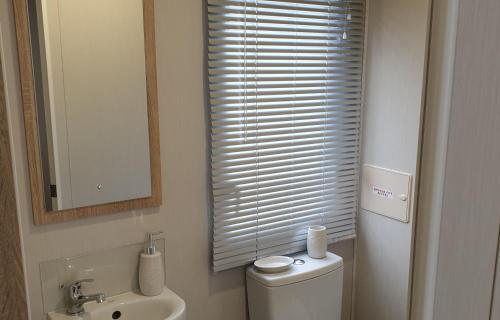 a bathroom with a toilet and a sink and a mirror at Bonnie Gorm in Boat of Garten