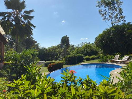 a swimming pool in a garden with chairs and trees at Palm Coast Luxury Rentals in Esterillos Este
