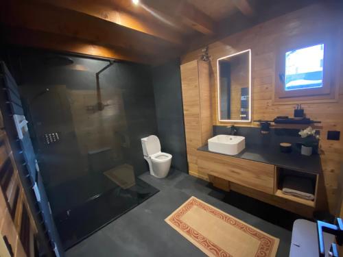 La salle de bains est pourvue d'une douche, de toilettes et d'un lavabo. dans l'établissement Haut de Chalet L'entasse n°9, à Valberg