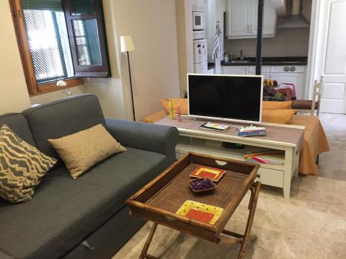 a living room with a couch and a table with a tv at Apartamento Córdoba Mezquita in Córdoba