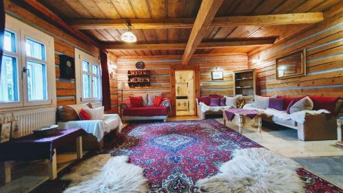 Zdiar Holiday Cottage في زديار: غرفة معيشة بجدران خشبية وسجادة كبيرة