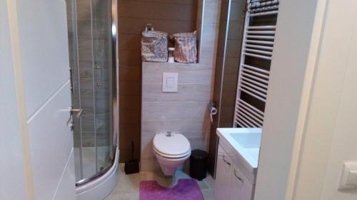 een badkamer met een toilet, een douche en een wastafel bij Sarajevo Olympic City in Sarajevo