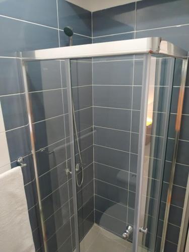 a shower with a glass door in a bathroom at Plateau Bedroom & Chambre - Praia Center 1 in Praia