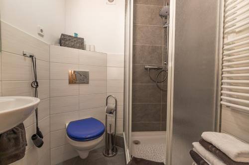 a bathroom with a blue toilet and a shower at FeWo Skiheim in Großschönau