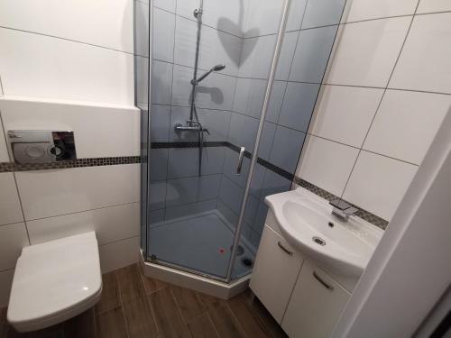 a bathroom with a shower and a toilet and a sink at Apartament wygodny S4 in Kalisz