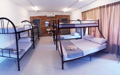 Katil dua tingkat atau katil-katil dua tingkat dalam bilik di Dorm Master