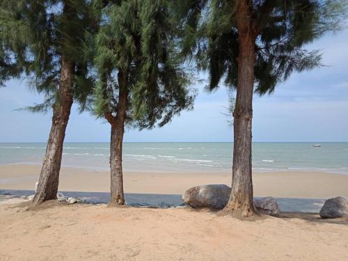 three trees on a sandy beach near the ocean at BC Summer Beach in Pran Buri