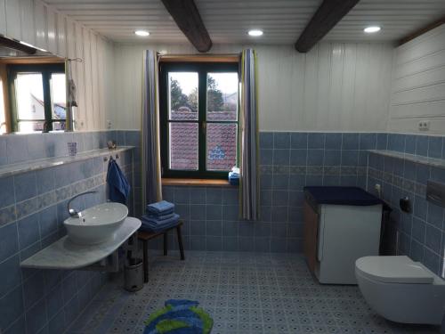 bagno piastrellato blu con lavandino e servizi igienici di Schöne gemütliche Ferienwohnung mit Kamin II im Harz a Darlingerode