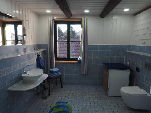 Ένα μπάνιο στο Schöne gemütliche Ferienwohnung mit Kamin II im Harz
